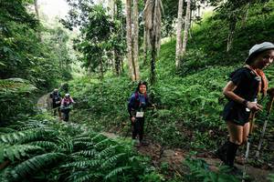 BIB: 
                            <button type="button" onclick="openModal(26409809)" class="btn btn-primary btn-sm float-right btn-popup" data-toggle="modal" data-target=".modal-high-quality">
                        <i class="fas fa-shopping-cart"></i> Add to Cart
                    </button>
                                            <button type="button" onclick="isThisMe(26409809, true)" class="btn btn-success btn-sm float-right btn-popup btn-isme hidden" data-toggle="tooltip" data-placement="bottom" title="นี่คือรูปของคุณใช่ไหม คลิกที่นี่เพื่อเอาเข้าอัลบั้ม">
                        <i class="fas fa-plus"></i> Add to album
                    </button>
                    <button type="button" onclick="isThisMe(26409809, false)" class="btn btn-warning btn-sm float-right btn-popup btn-isnotme hidden">
                        <i class="fas fa-ban"></i> Remove from album
                    </button>